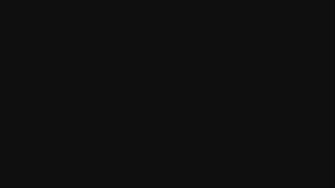 25495